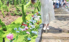 宠物小精灵世界之旅攻略